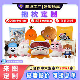 卡通异形抱枕定制logo印图片动物形状创意表情靠垫加工订做批发厂