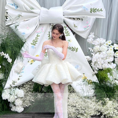 フランス式の小さいドレスの軽いウェディングドレスの花嫁は結婚して高級感があります。