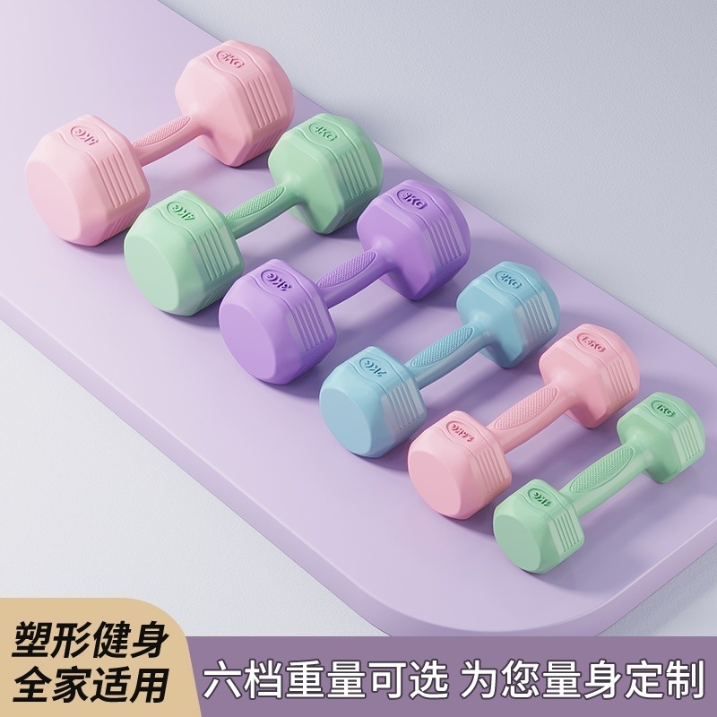 New Dumbbell Women's Fitness Home Equipment for Beginners to Train Arm Muscles and Lose Weight for Primary School Kidsren and Boys, a Pair of Small Dumbbells