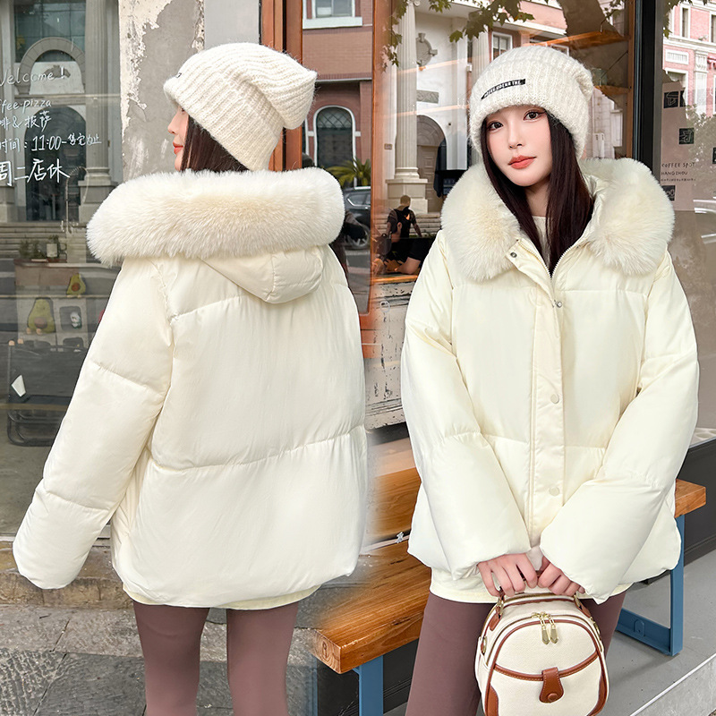 Europa y los Estados Unidos nuevo otoño y invierno 2025 pan plumón ropa de algodón mujer gruesa suelta pequeña chaqueta de algodón corta chaqueta de algodón