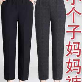 中年妈妈裤子春秋冬季松紧腰加绒直筒裤大码小个子50岁中老年女裤