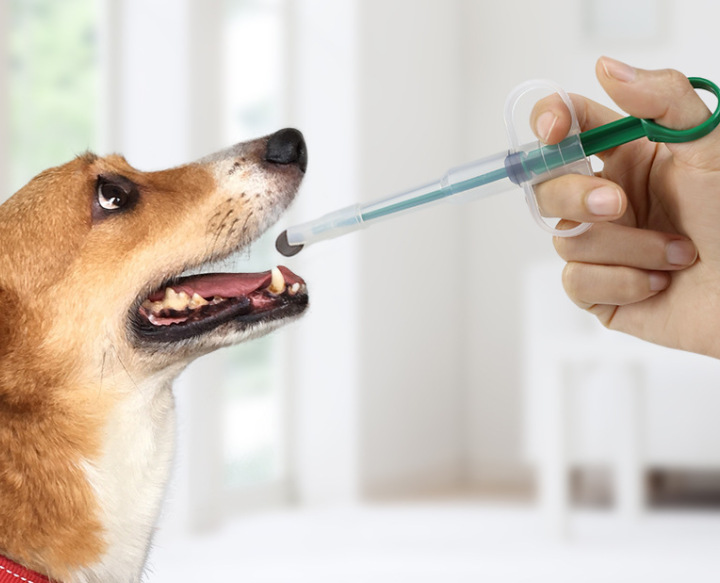 微信截图_20230601065621