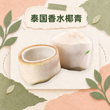 ̩����ˮҬ�� һ�����l��Ҭ������Ҭ֭Ҭ���������l�������rˮ��