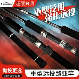 鱼竿;渔线轮;鱼饵