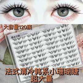超大量法式清冷韩系小珊瑚假睫毛自然又有存在感不规则仿睫毛嫁接