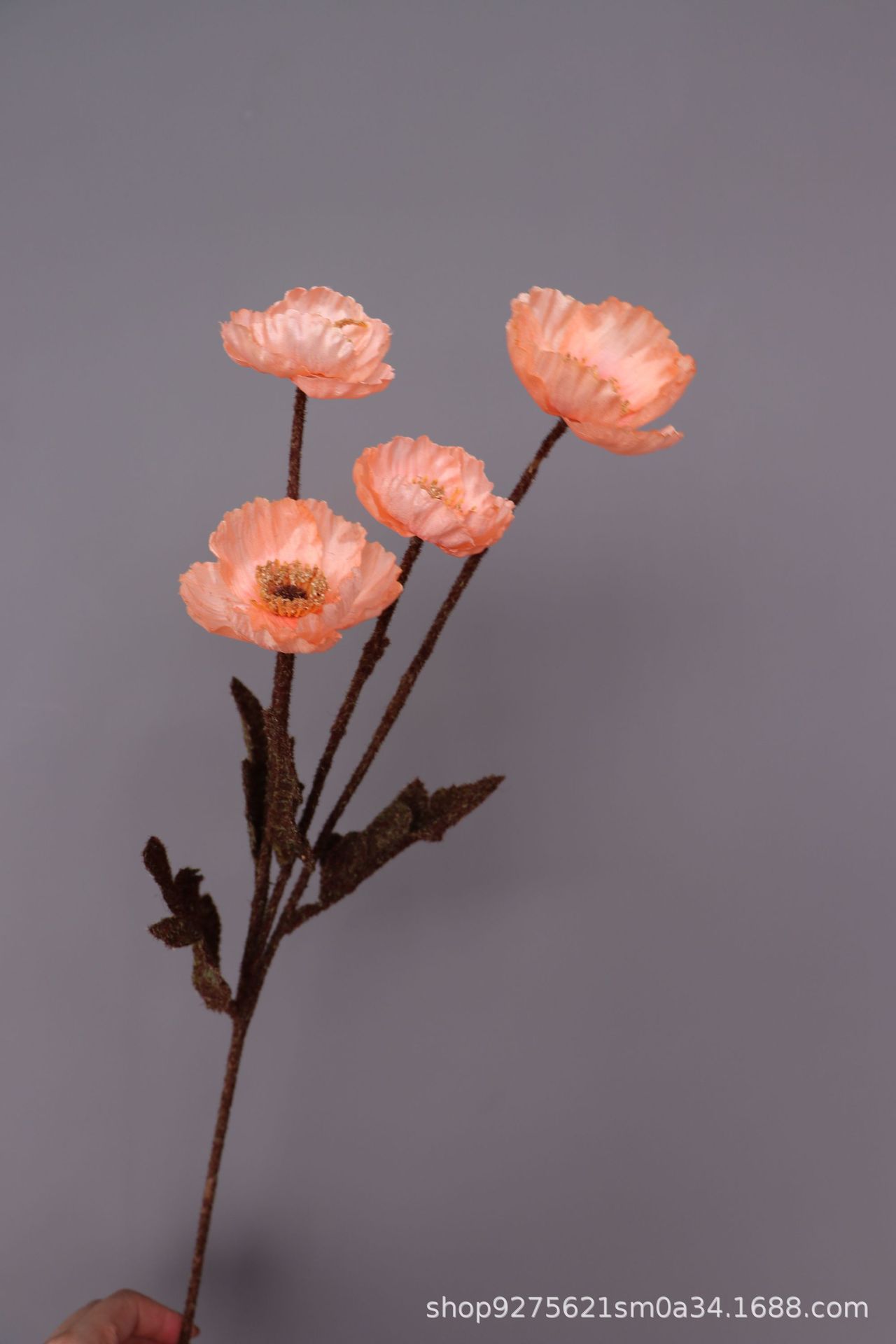 微信图片_20211003173146