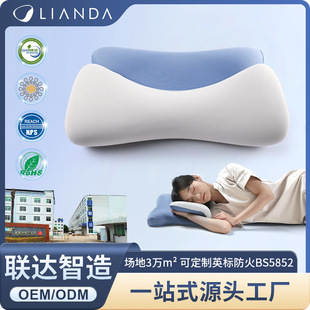 Cross-Border New Special-Shaped Pillow, Comfortable and Breathable, Home Sleeping Glacier Pillow, Neck Pillow, Slow Rebound Memory Foam Pillow