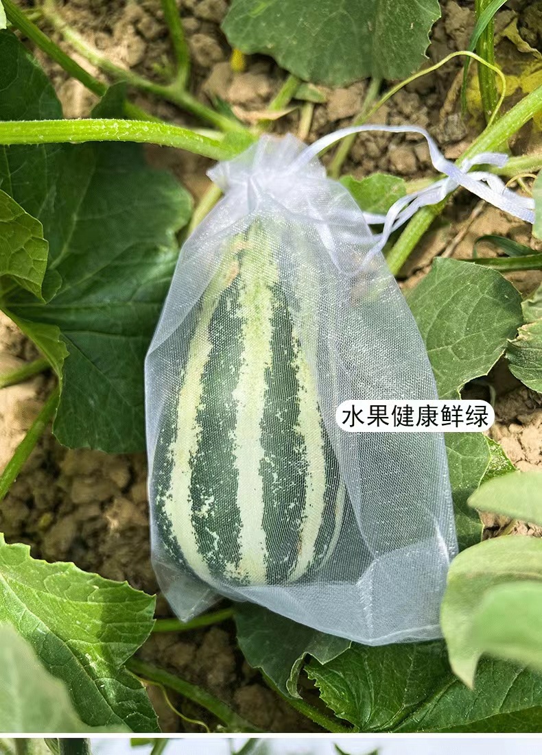 微信图片_20240330200710