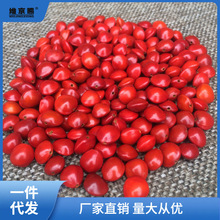 �t�����diy��˼���N�Ӽt��ɢ���װ��t��Ѫ������ԭ���־S��