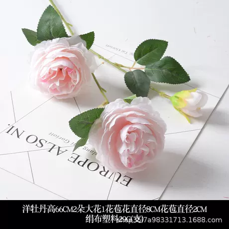Peony pink