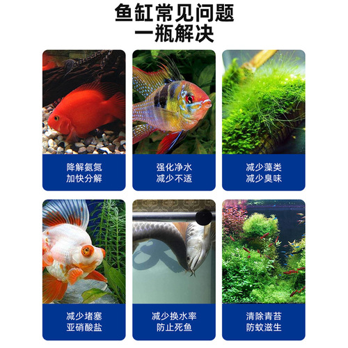 Baiyinmei nitrifying bacteria fish tank water purifier purification water quality stabilizer algaecide digestive bacteria non-fish medicine
