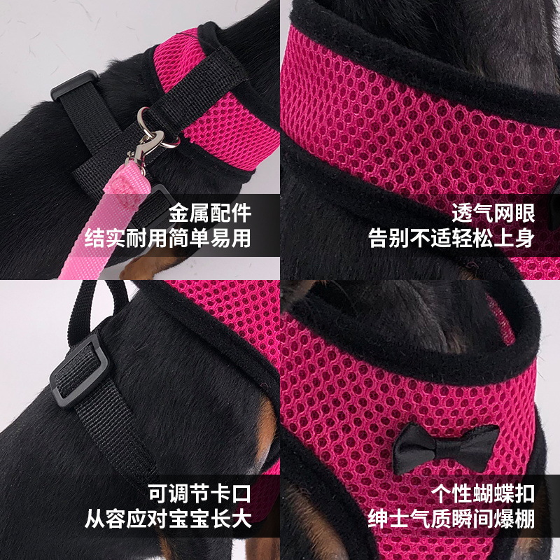 Correa para el pecho para mascotas, correa para perros, correa para pasear, correa para perros, correa para perros anti-liberación, correa para perros para el pecho y la espalda para perros pequeños