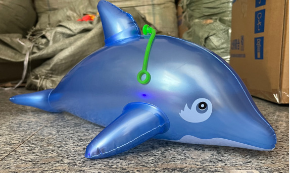 빛으로 푸른 돌고래