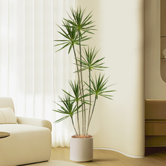 輕奢客廳仿真綠植龍血樹龍舌蘭假樹植物盆栽室內裝飾落地盆景擺榕