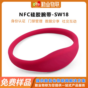 Dtb-Sw18 Water Park Rfid Ticket Bracelet Waterproof and Wear-Resistant Wristband Closed-Loop Silicone Wristband