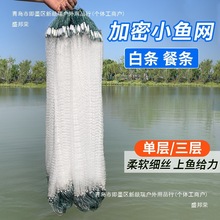 单层渔网粘网白条餐条小鱼网丝网三层沉网浮网捕鱼网6分1指高