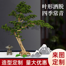 ����ӭ���ɴ����_�h�ɼ��ɘ��̈��҃��b��������˾��^�[������ˇ
