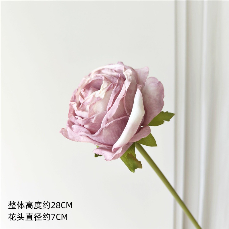 꽃 보라색 드라이 로스트 작은 장미