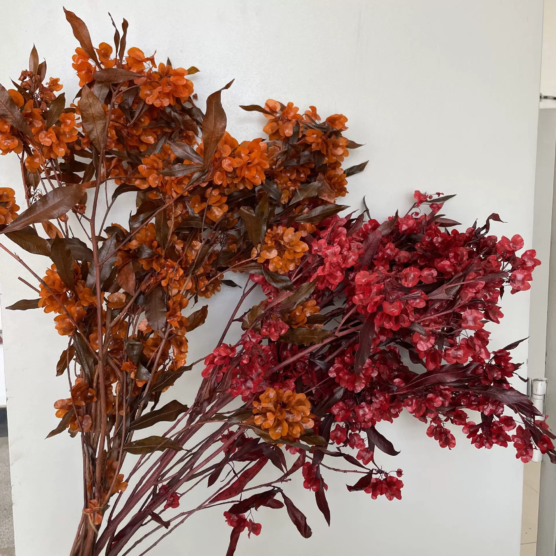蝴蝶花迎客豆永生花保鲜花直播热销款式居家插花婚庆软装造型批发