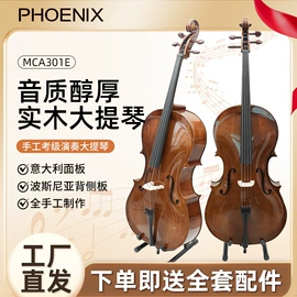 拉弦类乐器;乐器配件;口琴