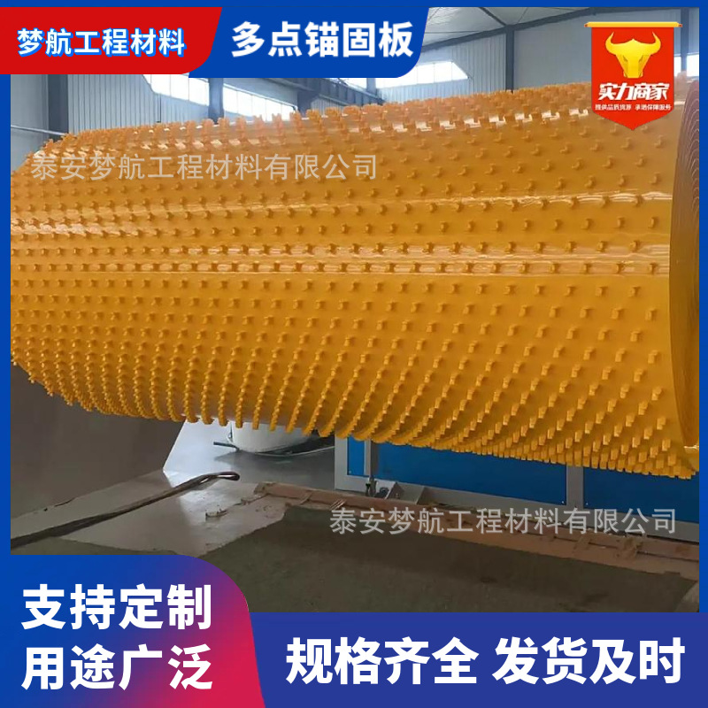 聚乙烯锚固板厂家 排水沟钢筋混凝土防渗HDPE多点锚固板