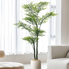 Gֲ߶pݷ҃ȿ͏db[辰