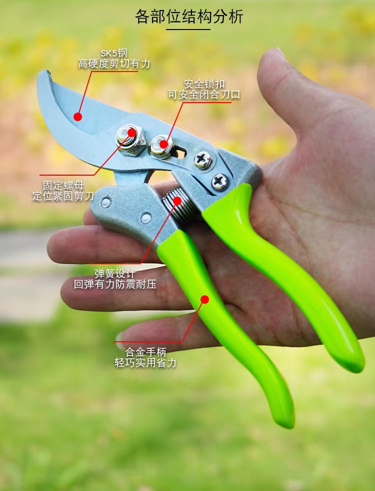 微信图片_20220808113849