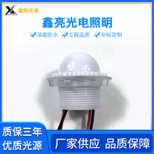 Xinliang Brand Led Light Source 26mm Mushroom Led Colorful Light Source Led Pixel Lighting Ttl