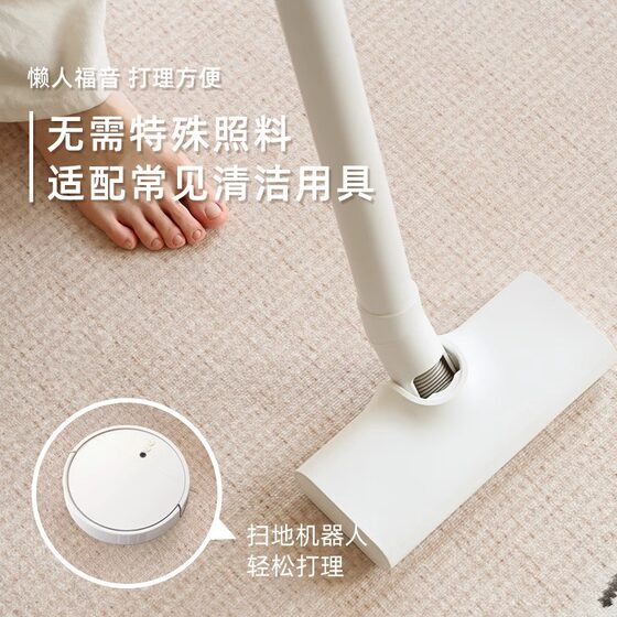 French Style Carpet Living Room Wash-Free 2024 New Waterproof Retro Cream Style Bedroom Light Luxury High-Level Mat