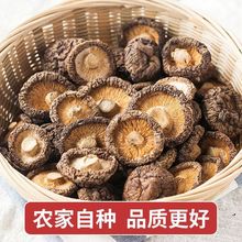 福建特產香菇干貨農家肉厚無根干香菇新貨蘑菇菌菇菇肉醬批發