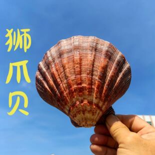 ��Ȼ�ֹ��[�����~��ؐ���bW�t�ꄓ��{צؐ��ɫ�бP�F؛���l