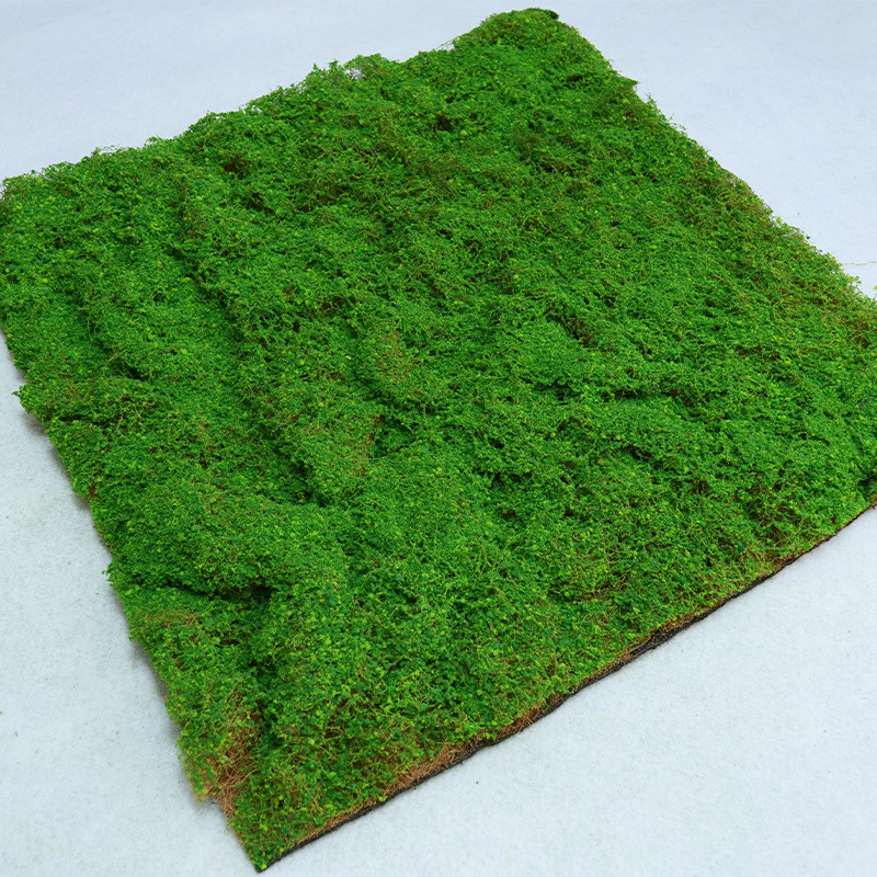 Coconut moss 1*1m