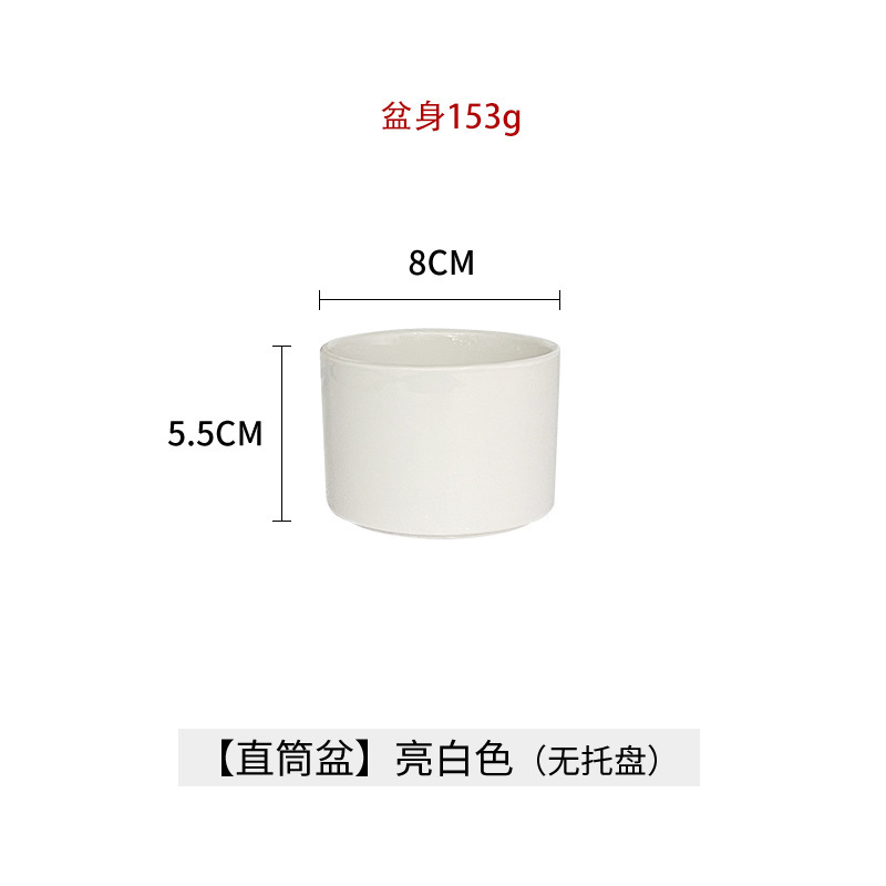 多肉专用盆陶瓷带托盘亚马逊桌面小盆栽小号白瓷盆迷你白色小花盆|undefined