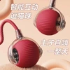 Replacement rope (note color model)