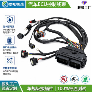 Դ�^���S���� ��܇ECU���ƾ��� IATF16949�J�C�l�әC����ϵ�y����