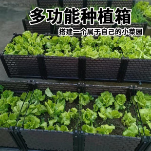 2024����M���߲˷Nֲ�����ͥԺ���@�̨�N�����������ɽM�ϻ���