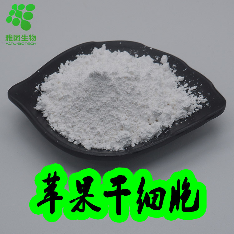 苹果干细胞99% 苹果破壁干细胞 青苹果提取物 雅图生物 包邮