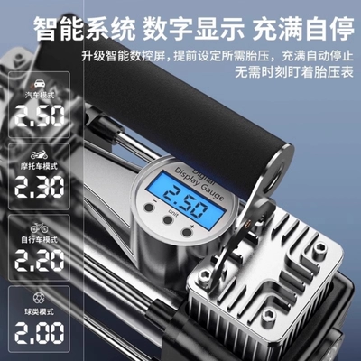 Double-Cylinder Electric | Hava nasosu