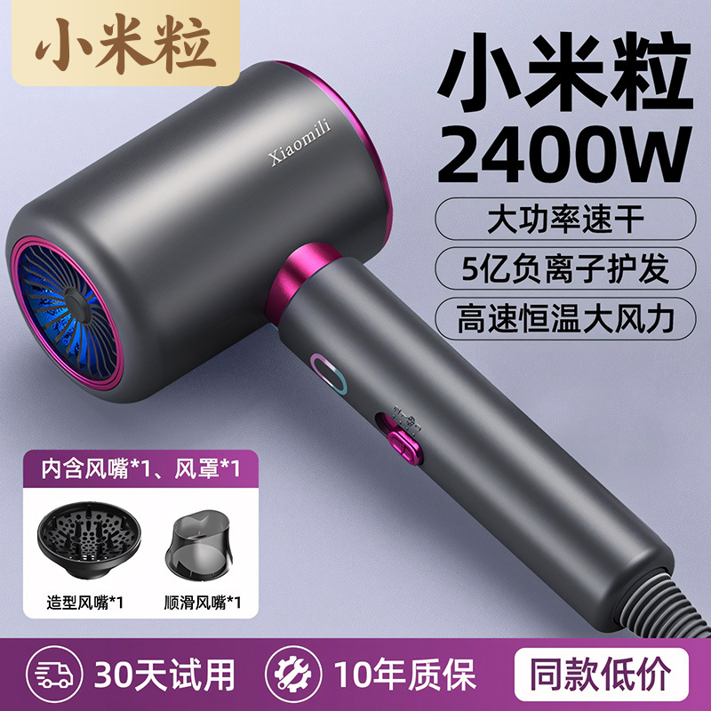 Xiaomi High-Speed Hair Dryer Household Negative Ion Hair Care Student Dormitory Barber Shop High Wind Hair Dryer Wholesale