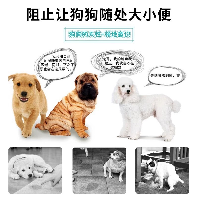 トイレトレーニング、トイレトレーニング、ペットの定点排便誘発剤、犬用トイレ誘発剤|undefined