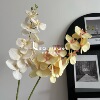 Simulation 9 Phalaenopsis Wedding Decoration Simulation Flower Home Decoration Flower Benefits Blooding Flower and Flower Retro Red Fake Flower