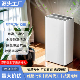 Negative Ion Air Purifier for Home and Office, Formaldehyde Removal, Indoor Smoke Odor Filter, Whole House Purifier