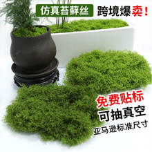 仿真苔藓丝草坪仿生青苔景观绿植小草盆景造景铺面假苔藓装饰假草