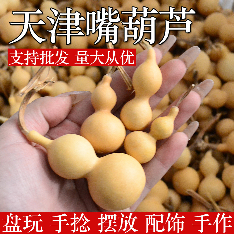 手捻天津嘴葫芦聊城文玩小葫芦小美草里金大葫芦摆件批发葫芦