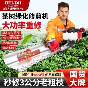 Delixi Hedge Trimmer Gasoline Tea Tree Trimmer Thick Branch Shears Hedge Shears Pruning Shears Tea Electric Chain Saw