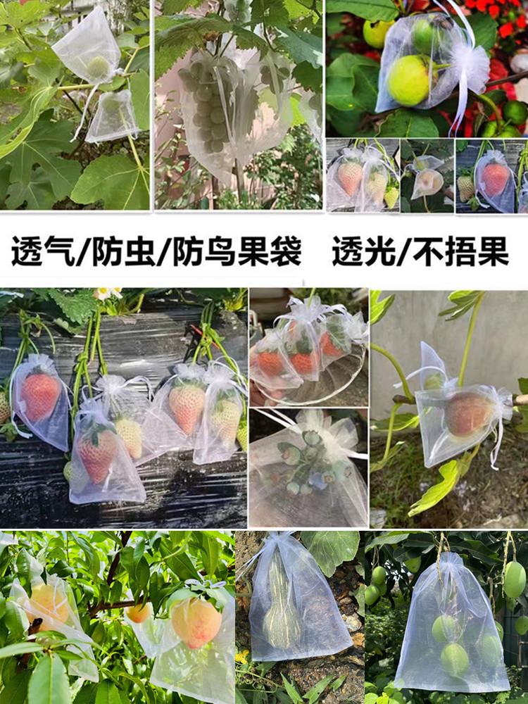 水果套袋果树防鸟防虫网袋火龙果葡萄无花果石榴保护桃子袋青瓜