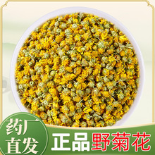 野菊花中药材5g克 黄山野生野菊花泡茶黄菊花干野菊花干野菊米
