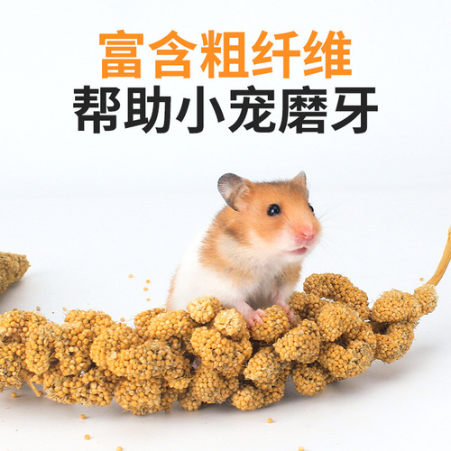 Parrot snacks, millet, tiger skin, peacock, peony, feed, bird food, bird grain, training rewards, food, hamster snacks