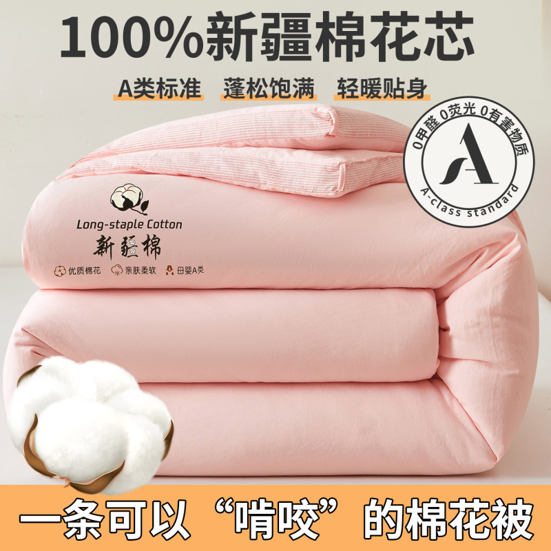 A类母婴级100%新疆棉花被春秋被加厚冬被夏凉被全棉学生宿舍被芯|undefined