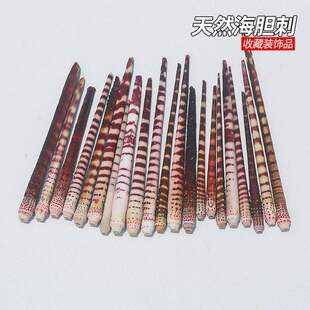 ��đ��ؐ�������~���쾰�ղ��b�Ʒ�����ֹ�diy�������յ���